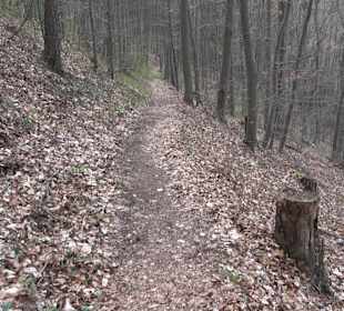 Wanderung rund um das Rusenschloss Gerhausen