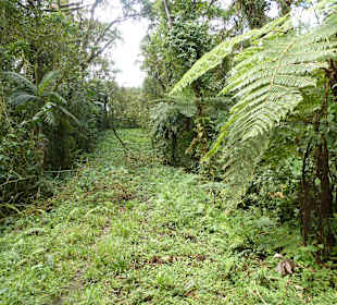 Hier läuft eine Erdölpipline unten lang