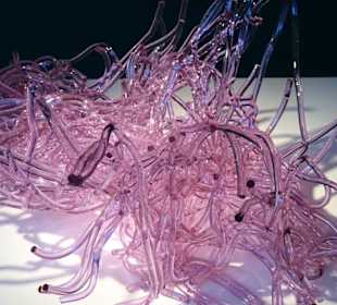 Exponate des Museums für Modernes Glas