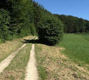 Ameisenlehrpfad Holzelfingen