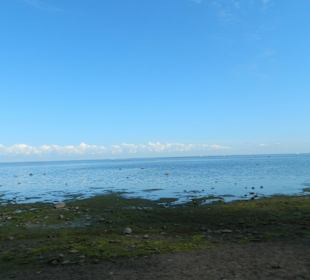 Dolny park w Peterhofie