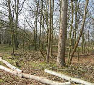 Wunderschöne Boberger Niederung