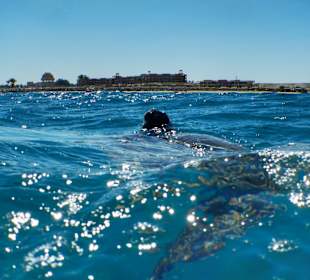 Schnorcheln Abu Dabbab