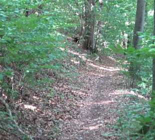 Wandertour Greifensteinrunde