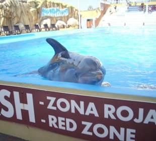 Delfinarium Palma de Mallorca