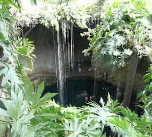 Cenote von oben