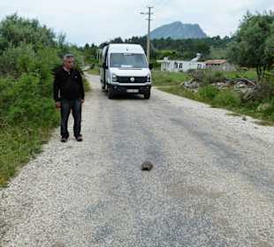 Zwischenfall auf der Landstraße