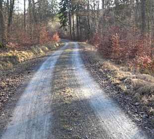 Wanderung rund um den Ochsenweiher