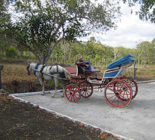 Mit der Kutsche zum Reiten/Angeln