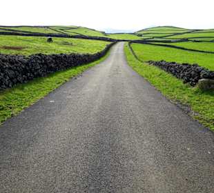 Inselrundfahrt Terceira