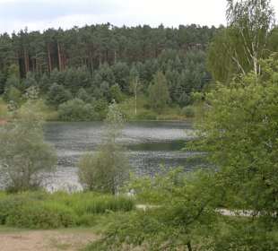 Birkensee Ende Juli 2012