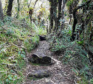 Rundweg „La Isla“ Path