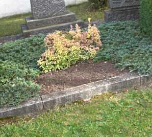 Friedhof Steingebronn