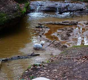 Wasserbecken