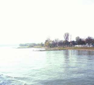 Rhein-Schifffahrt mit der Köln - Düsseldorfer