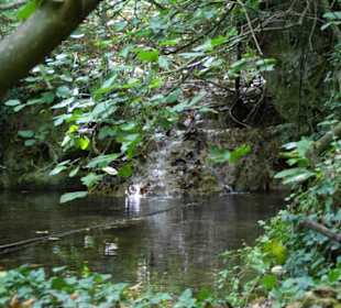 Mili Gorge Impression