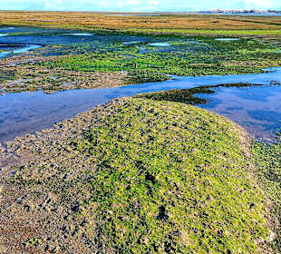 Parque Natural da Ria Formosa
