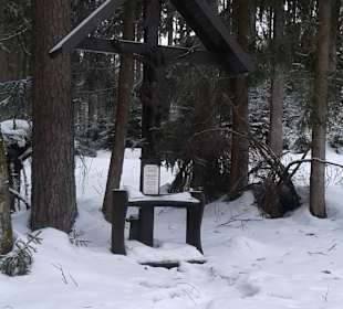 Naturpark Heidenreichsteiner Moor	