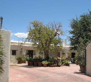 im historischen Städtchen Mesilla, NM