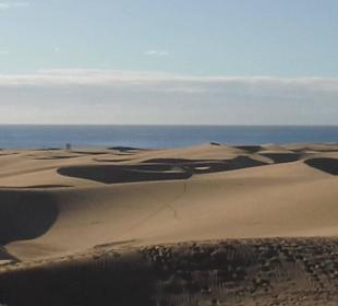 In den Dünen von Maspalomas