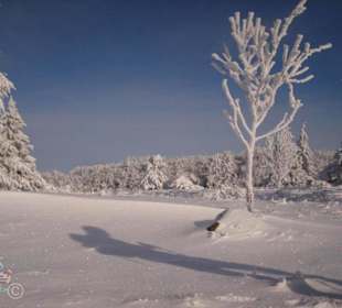 Impressionen Dezember 2012