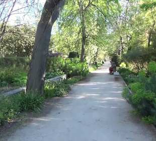 Real Jardín Botánico