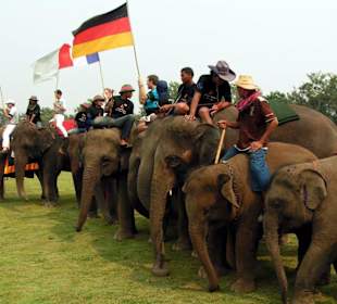 Elefanten und Flaggenparade II