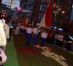 Alfombras florales Burela