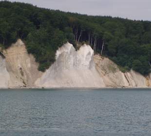 Kreidefelsen Rügen