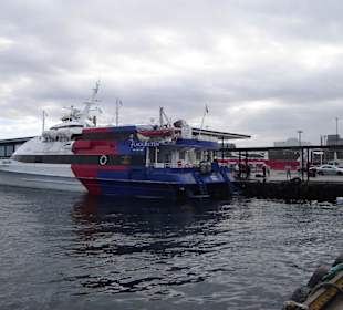 Flaggruten Schnellboot
