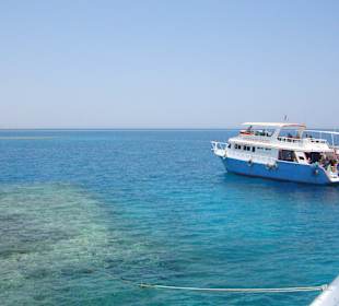 Schnorcheltour mit Sicht auf Korallenbank