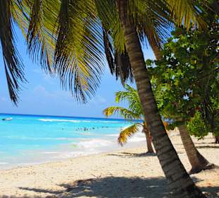 Traum Strand, Insel Saona