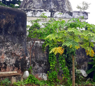 Stadtrundgang Bububu