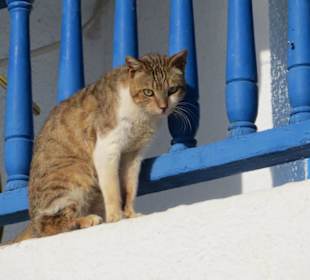 Area vor dem Jachthafen