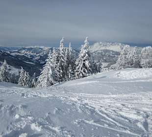 Skigebiet Flachau