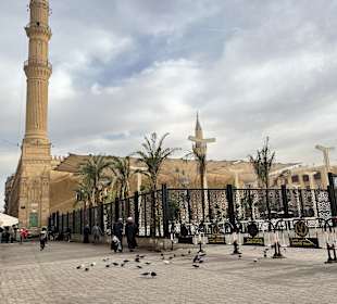 Kairo: Stadt der 1000 Minarette