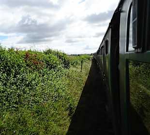 Unter Dampf von Alresford nach Alton