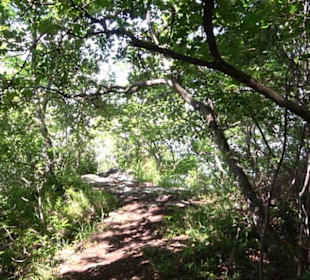 Premiumwanderweg "hochgelegen"