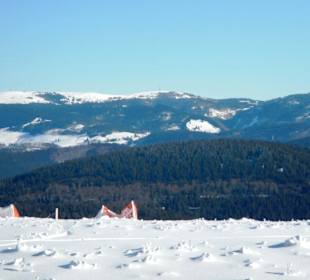 Feldberg im Hintergrund