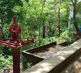 Rang Hill: Aussicht von der Toilette