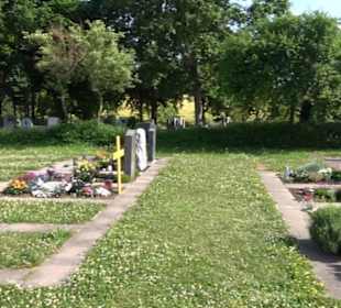 Friedhof Wendelsheim