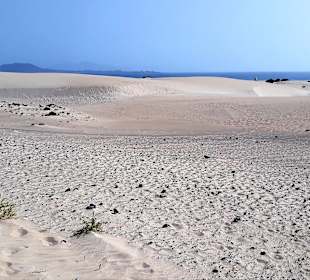 Dünen von Corralejo