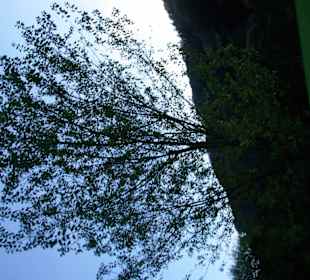 Geiles Bild geworden