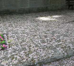 Gefallenendenkmal am Friedhof Holzhausen