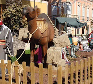 Orotava vor dem Rathaus