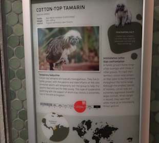 Tierpark Hellabrunn - Welt der Affen