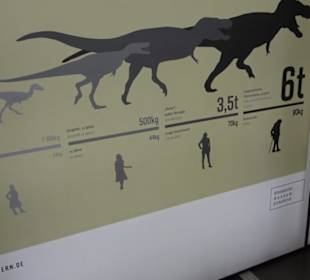 Dinosaurier Museum Altmühltal