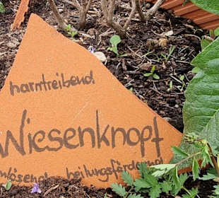 Kräutergarten und Erklärung hierfür