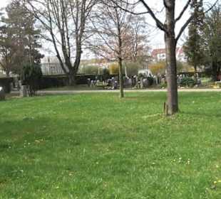 Alter Friedhof