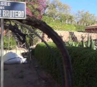 Real Jardín Botánico